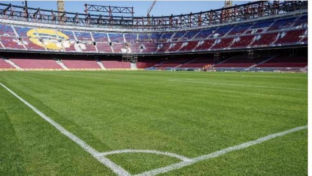 El césped del nuevo Camp Nou, ya instalado
