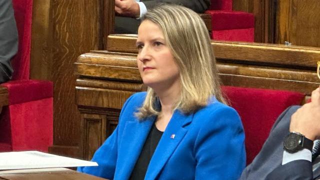 La 'consellera' de Drets Socials i Inclusió, Mònica Martínez Bravo, en el Parlament