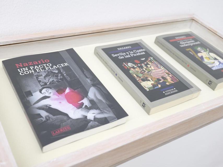 Los tres tomos de las memorias de Nazario, expuestos en una vitrina Centro Andaluz de Arte Contemporáneo (CAAC).
