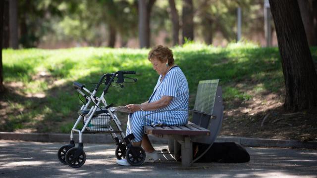 Una mujer lee bajo la sombra de unos árboles en el parque de la Barceloneta