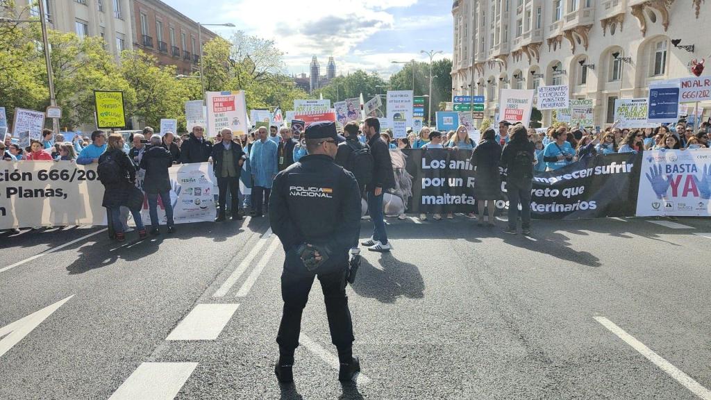 Manifestación de veterinarios ante el Congreso de los Diputados, en mayo de este año