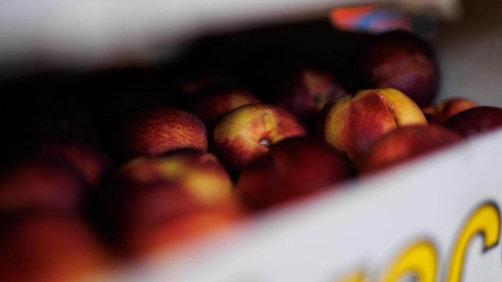 Una caja de nectarinas