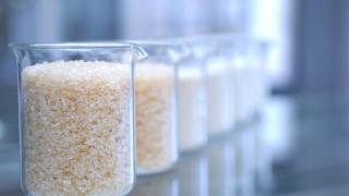 Imagen de Juncà Gelatines