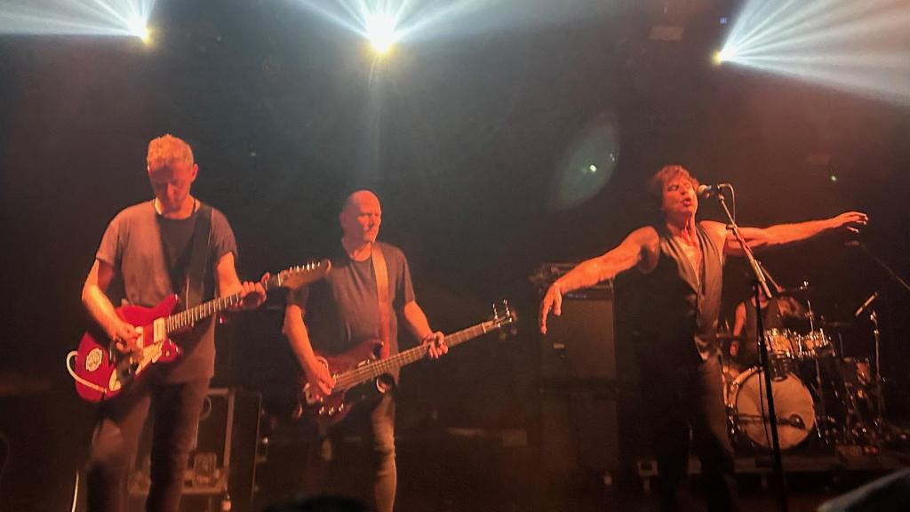 Imagen del concierto en Razzmatazz de The Chameleons