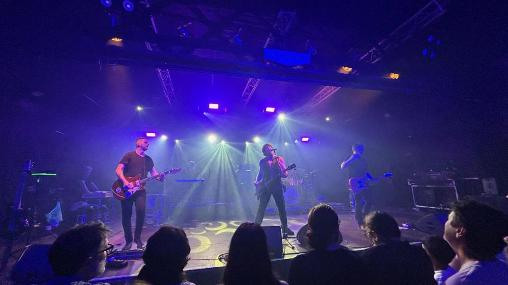 Imagen del concierto de 'The Chameleons'