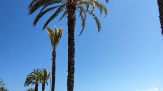 Este es el pueblo idílico de veraneo entre X y X que se ha puesto de moda en Cataluña: X