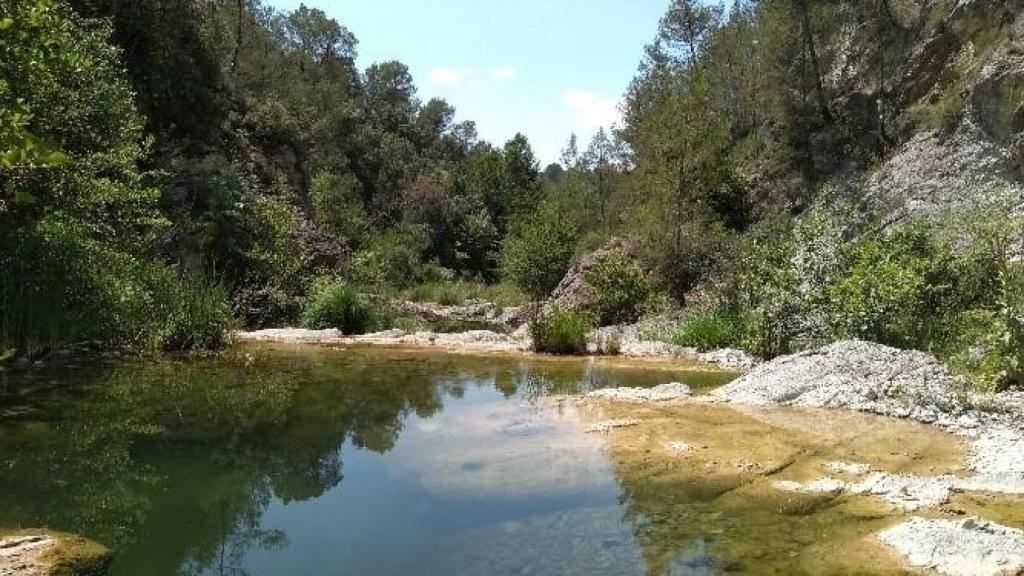 Reserva Natural Fluvial Riera de Borró