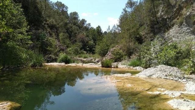 Reserva Natural Fluvial Riera de Borró