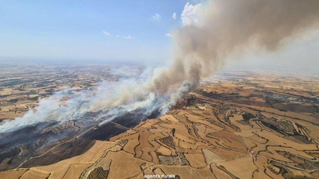 Vista aérea del reciente incendio en Granyena de Segarra