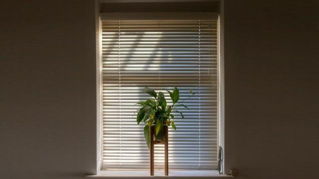 Persianas en un hogar