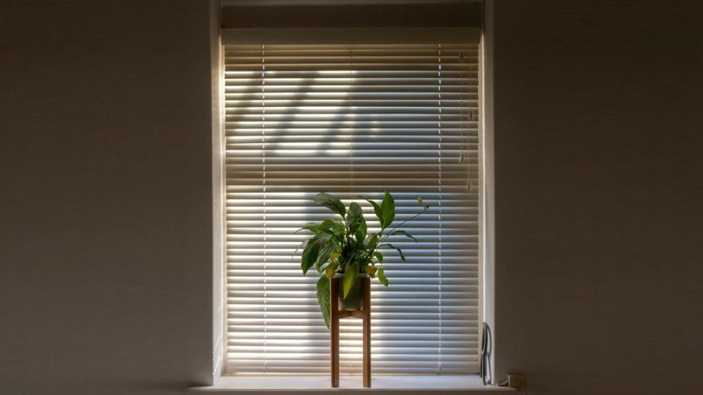 Persianas en un hogar