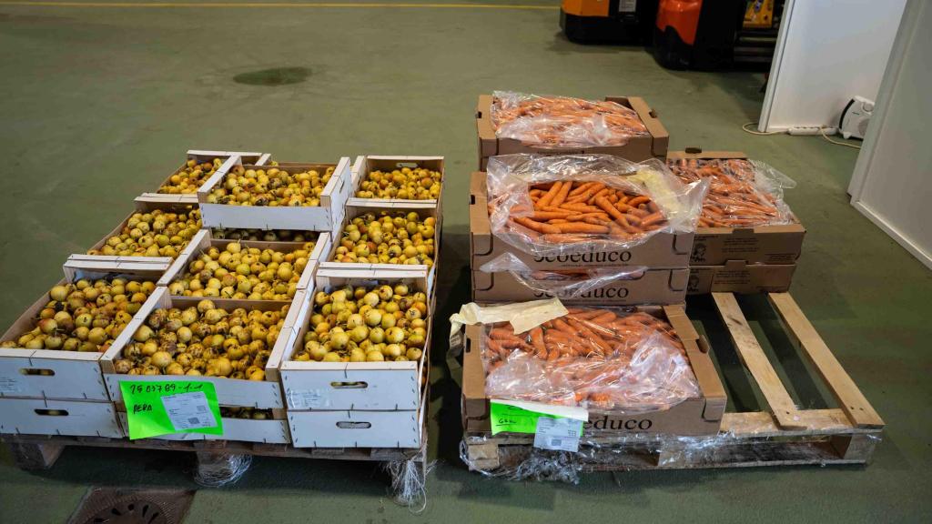 Alimentos en cajas en el Banco de los Alimentos