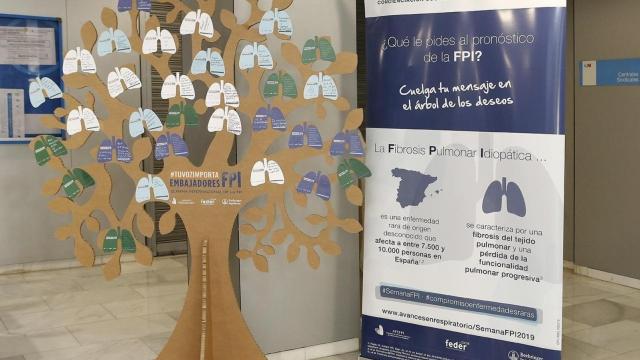 Imagen en archivo de uno de los 'árboles de los deseos' de la iniciativa 'Tu voz importa. Embajadores FPI'