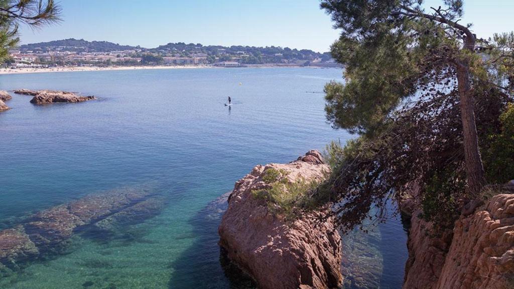 Así es la increíble cala secreta de la Costa Brava, Sa Caleta
