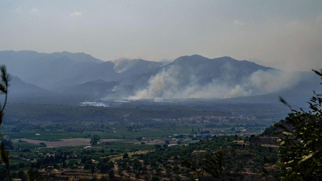 Vista de la línea de fuego en Paüls, Tarragona, producido en julio en el sur de Cataluña, en una imagen de archivo