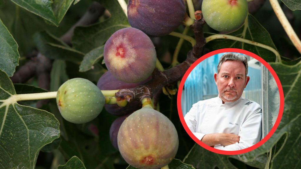 Fotomontaje Albert Adrià e higos