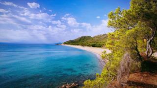 Imagen de la Playa del Torn