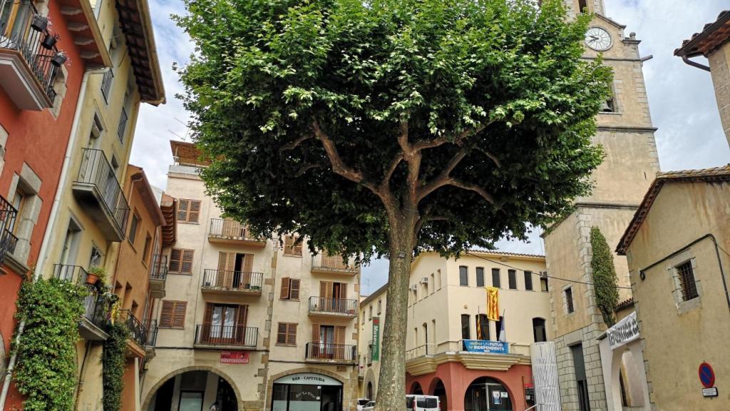 El mejor pueblo para comprarte un piso cerca de Girona, según la IA, Arbúcies
