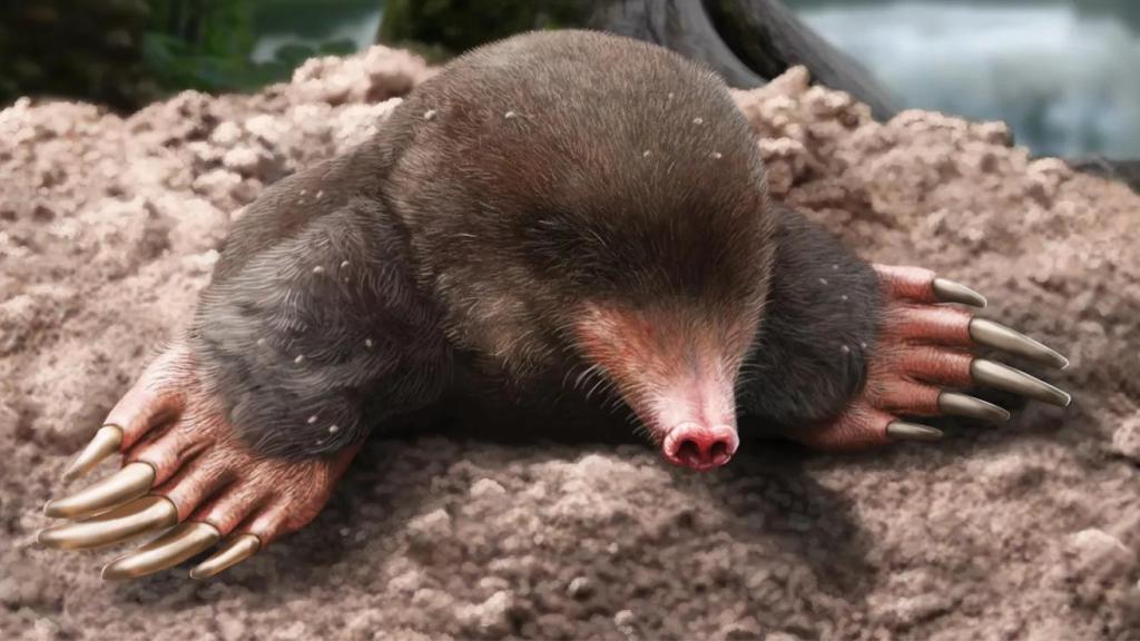 Recreación del topo hallado