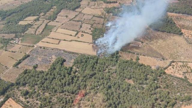 Imagen del incedio entre Pla de Santa Maria y Santes Creus, en Tarragona