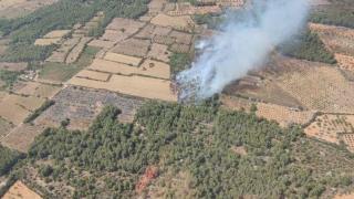 Imagen del incedio entre Pla de Santa Maria y Santes Creus, en Tarragona