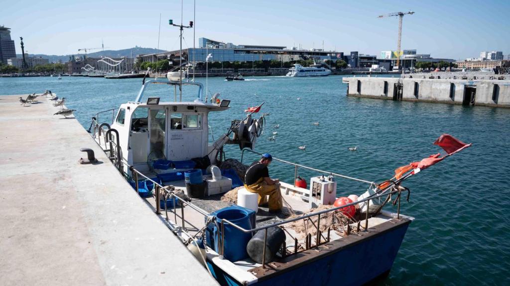 Barca pesquera a Barcelona