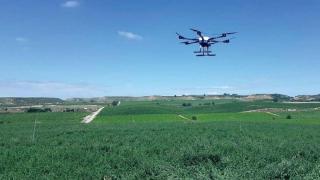 Un dron sobrevuela un cultivo