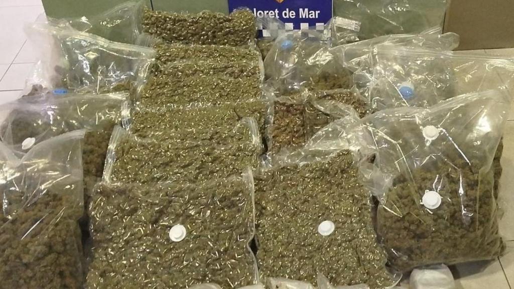 El material incautado por la policía