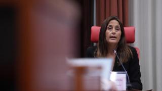 La consellera de Educación y FP de la Generalitat, Esther Niubó, comparece en el Parlament