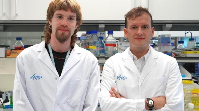 Los investigadores del Vhio que han liderado el estudio sobre el cáncer de próstata / EP