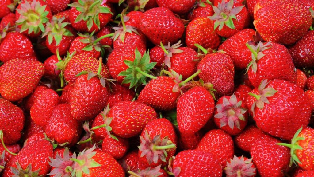 Fresas