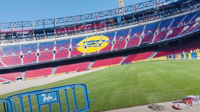 La instalación del césped en el nuevo Camp Nou