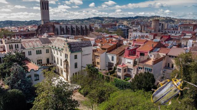 Una plaga obliga a fumigar 50 zonas de esta ciudad catalana