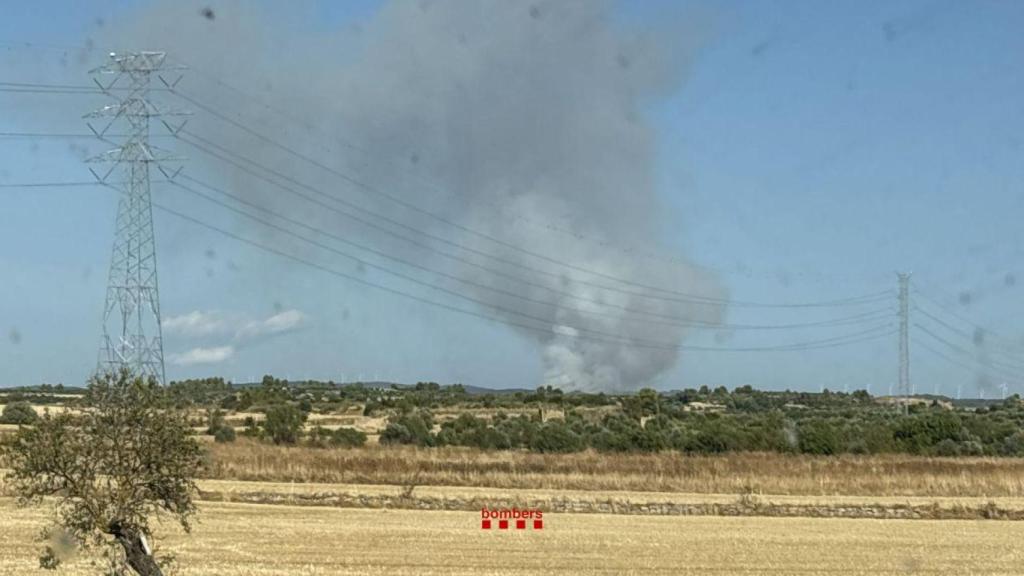 El incendio forestal en Fulleda (Lleida)