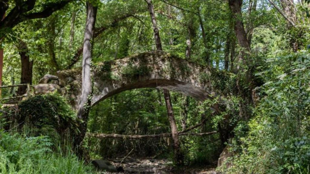 Paisaje de Arbúcies