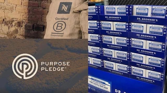 Nace Purpose Pledge, la alternativa ética al modelo B Corp