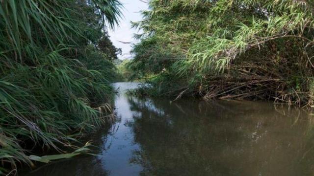 Una balsa en el río Congost