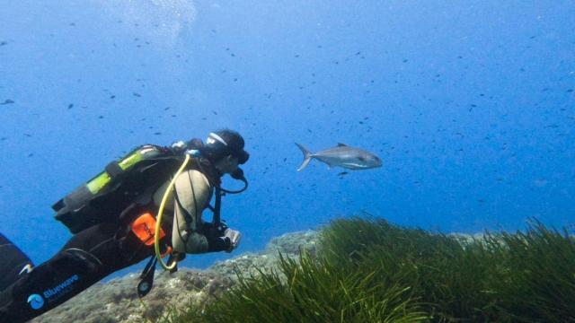 Un buceador, durante un paseo por el Mediterráneo para uno de los capítulos