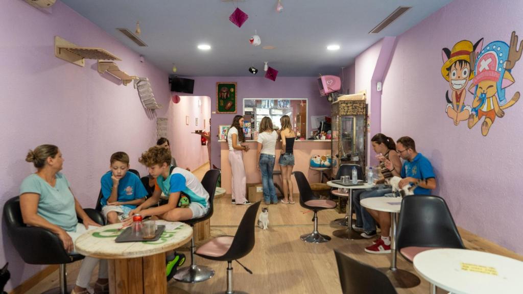 Interior del 'cat café' Pingu de Terrassa