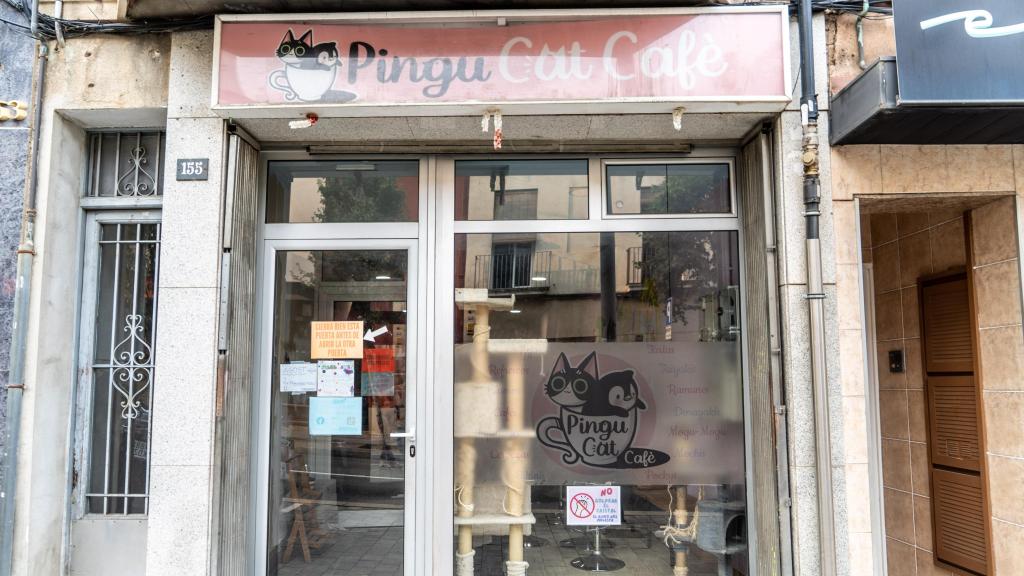 Exterior del 'cat café' Pingu de Terrassa