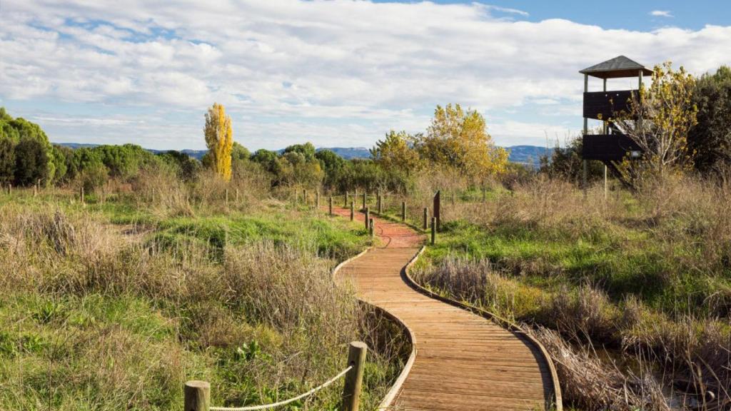 Aiguamolls de la Bòbila