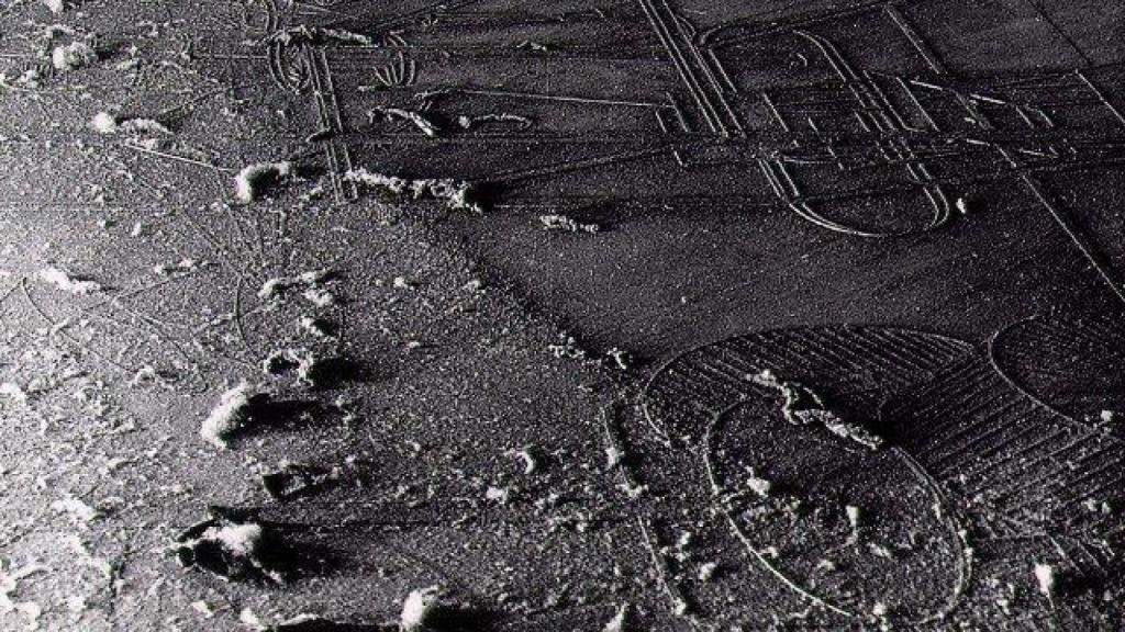 Élevage de poussière (Criadero de polvo)