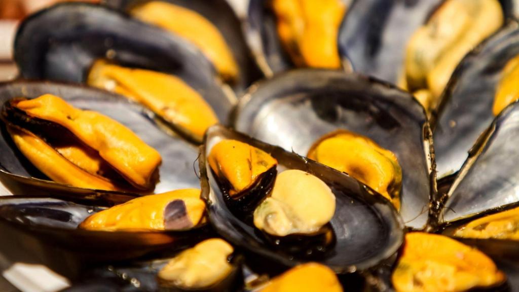 Mejillones