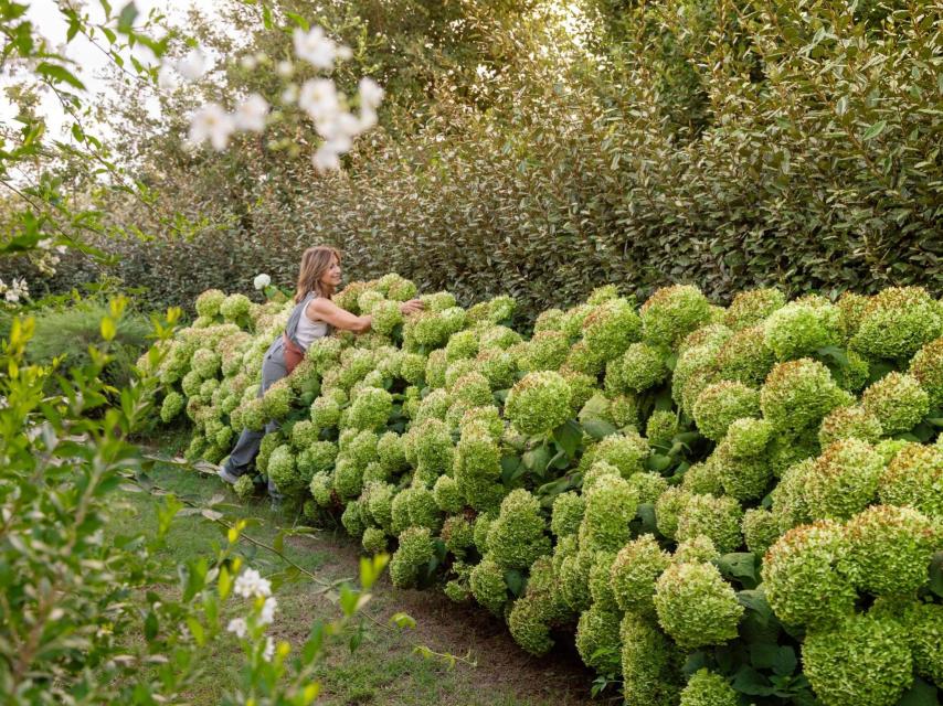 Eugenia Huguet en el jardín