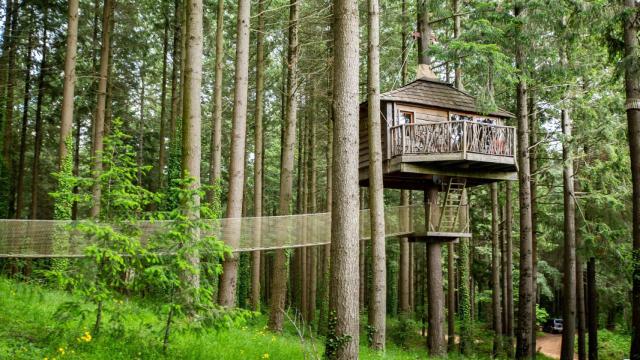 El mejor destino de Cataluña para dormir en los árboles, el hotel Cabanes als arbres