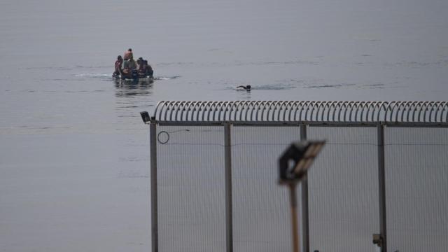 Un joven migrante trata de huir a nado, tras ser interceptado por la policía cuando intentaba cruzar la valla de Ceuta, el 12 de agosto de 2025