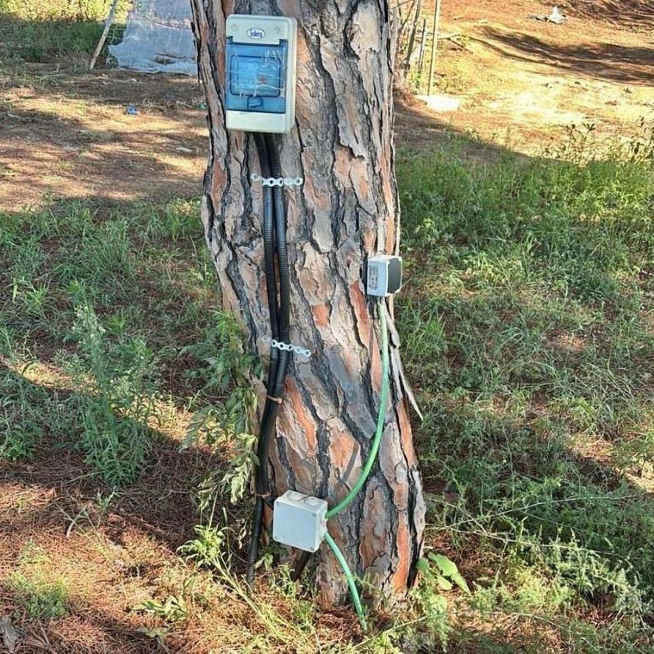 Imagen de la rudimentaria instalación eléctrica que había en el interior del cámping ilegal