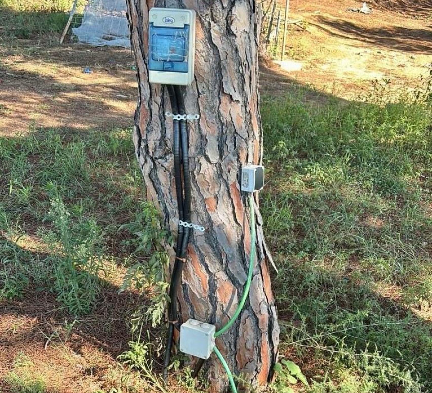 Imagen de la rudimentaria instalación eléctrica que había en el interior del cámping ilegal