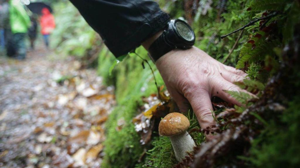 Personas buscando setas