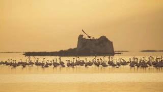 El 'Mount Saint Michel' catalán, la Torre de Sant Joan dels Alfacs